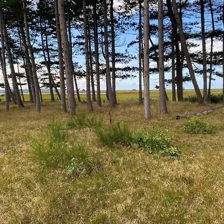 13314-1-hojby-paradislyngen-29 *
