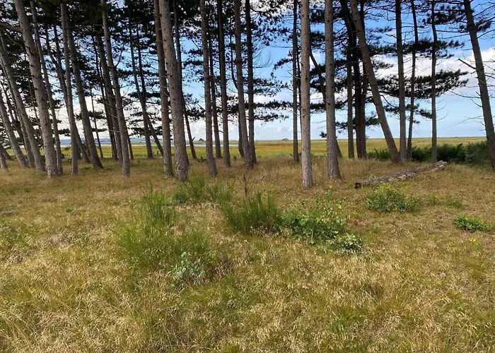 13314-1-hojby-paradislyngen-29 *
